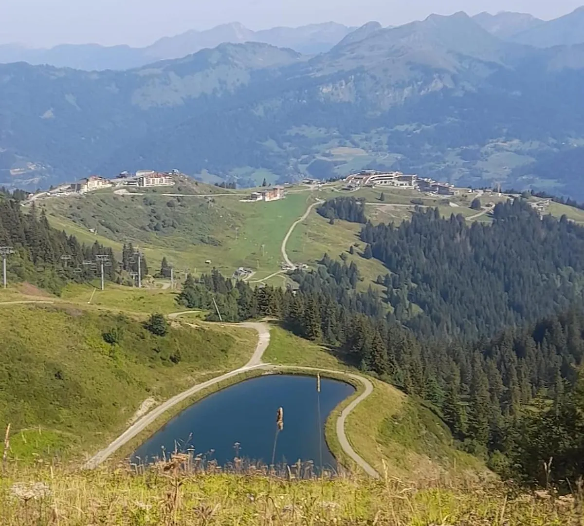 Appartement 4 Personnes Samoens 1600 Francia